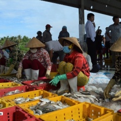 EC chọn Kiên Giang là tỉnh đại diện kiểm tra chống khai thác IUU